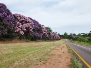 Popular Spring Outings in Limpopo