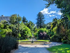 The Company’s Garden