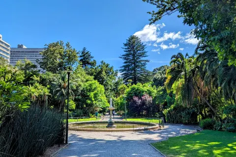 The Company’s Garden