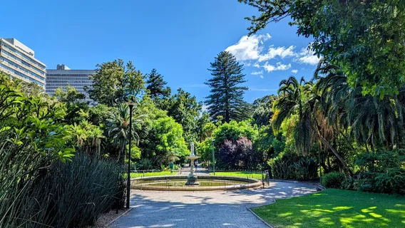 The Company’s Garden