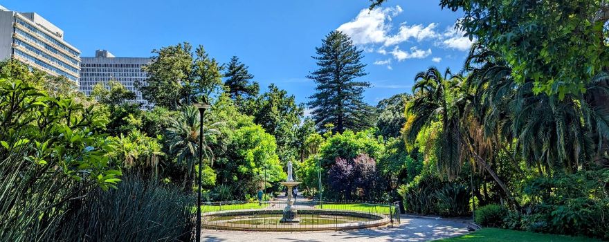 The Company’s Garden