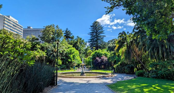 街心花園