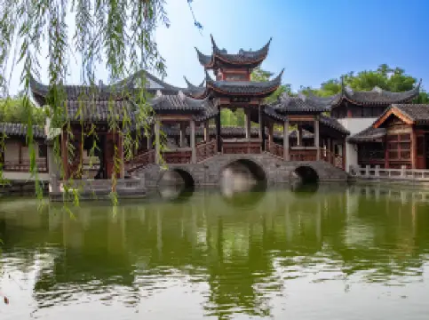 Popular Spring Outings in Linqing