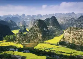 萬峯林景區