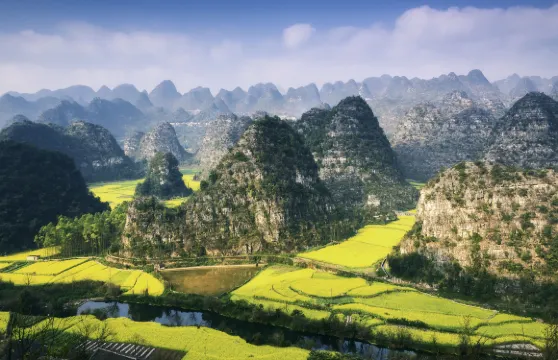 萬峯林景區門票 + 觀光車票長者