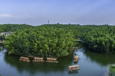 Southem Sichuan Bamboo Sea