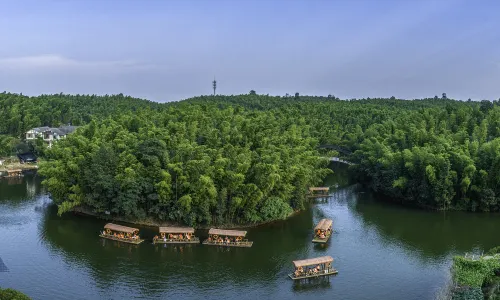 Southem Sichuan Bamboo Sea