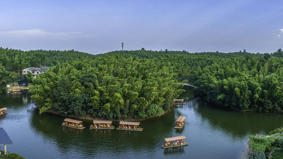 Southen Sichuan Bamboo Sea