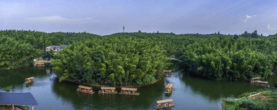 Southem Sichuan Bamboo Sea