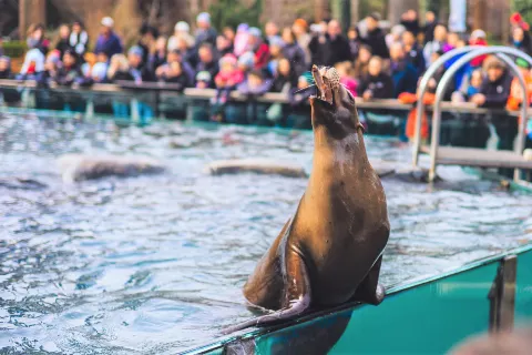 Central Park Zoo