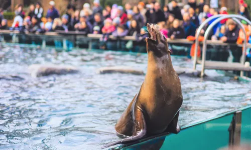 Central Park Zoo
