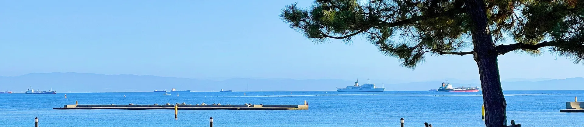Attrazioni Acquatiche