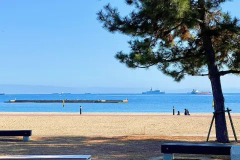 스마 해변