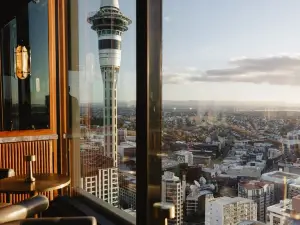 Top 20 Bars in Auckland