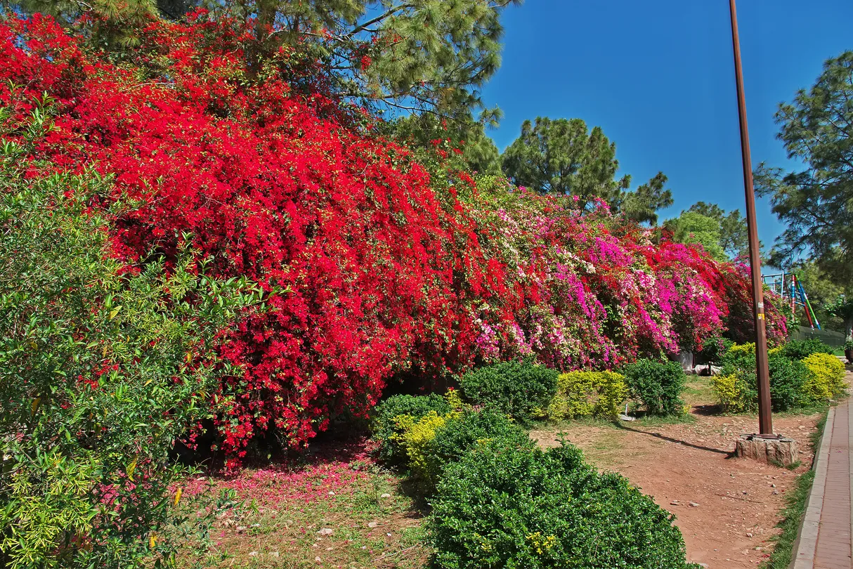 3_シャカパリアン国立公園