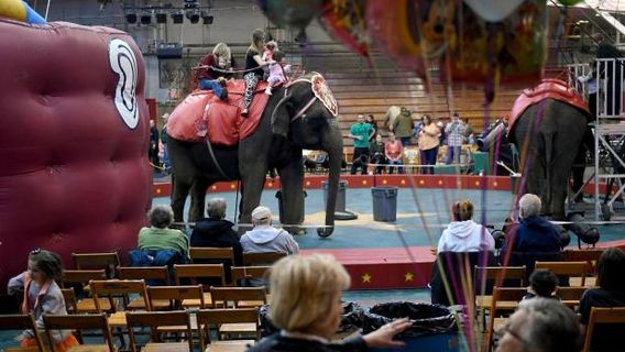 Hamburg Field House Rajah Shrine Circus