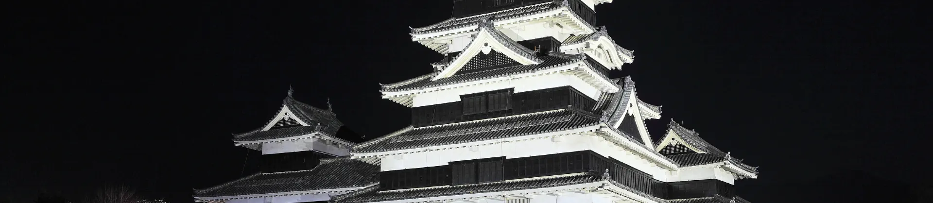 Night Attractions