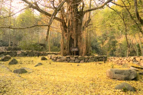 Yunlin Mountain