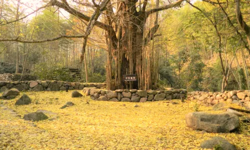 Yunlin Mountain