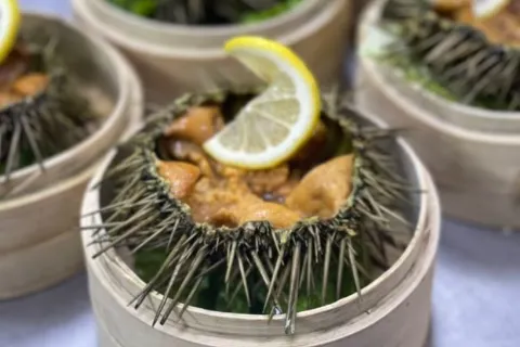 FRESH UNDER THE SEA