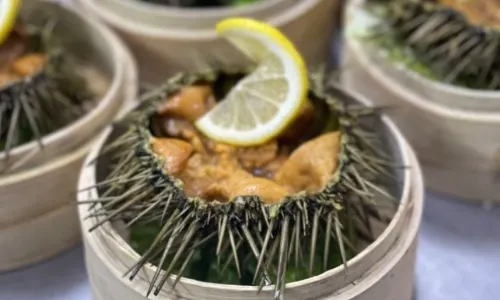 FRESH UNDER THE SEA