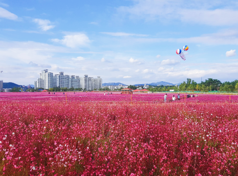 Compare 5 airports near Yangju