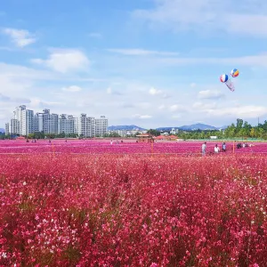 더양주 나리농원