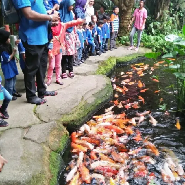 6,000 species at Butterfly Park Malaysia