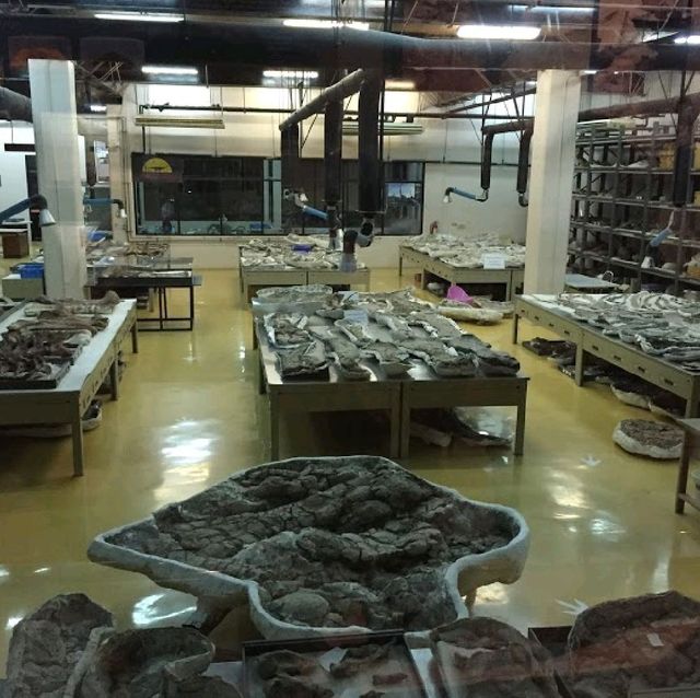 พิพิธภัณฑ์สิรินธร ภูกุ้มข้าว