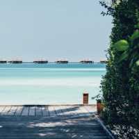 Relax, Adventure & Lux in Maldives!