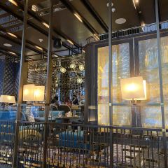 Bar Trigona User Photo