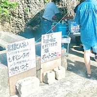 絶景海中道路の先！車で行ける浜比嘉島！