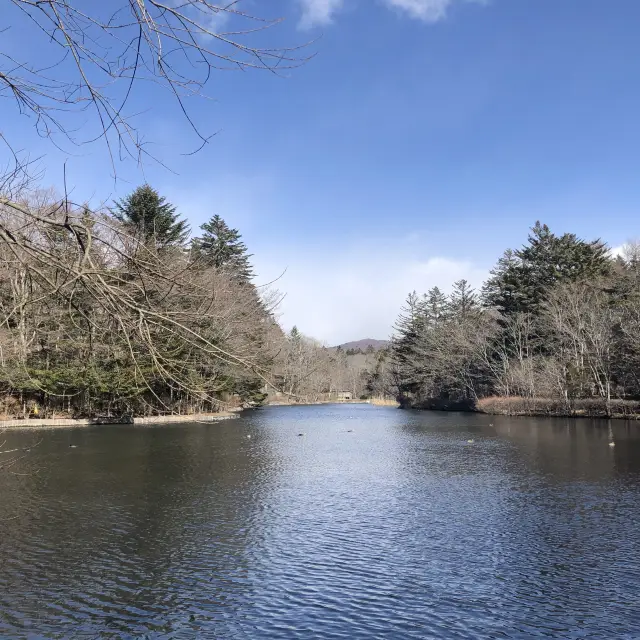 冬日雲場池