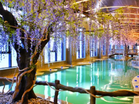 Changbai Mountain Julong Volcano Hot Spring