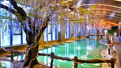 Changbai Mountain Julong Volcano Hot Spring attraction in Yanbian