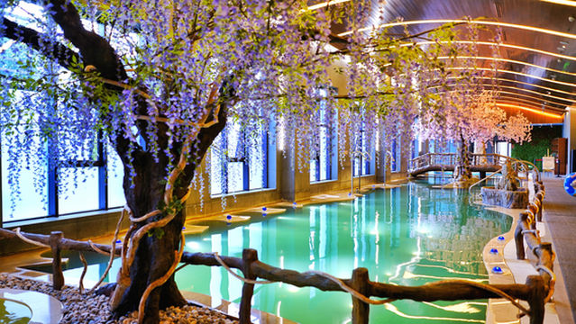 Changbai Mountain Julong Volcano Hot Spring