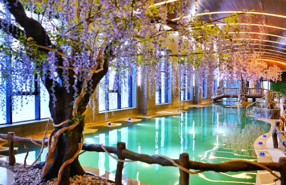 長白山聚龍火山温泉票(贈送接駁車權益)成人