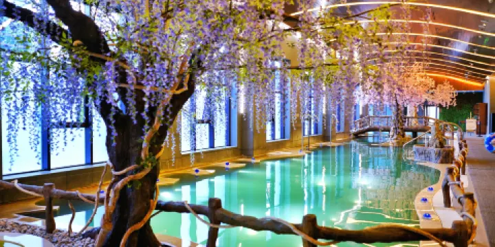 長白山聚龍火山温泉