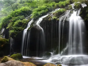 Tribe of the Three Gorges