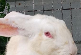 张北天路安娜庄园 User Photo