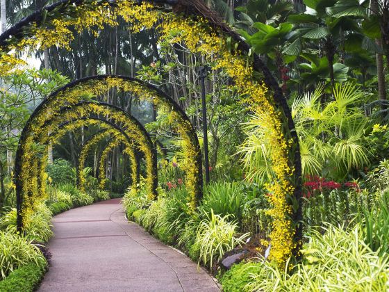 國家胡姬花園