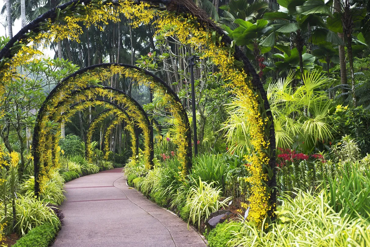 3_สวนกล้วยไม้แห่งชาติสิงคโปร์