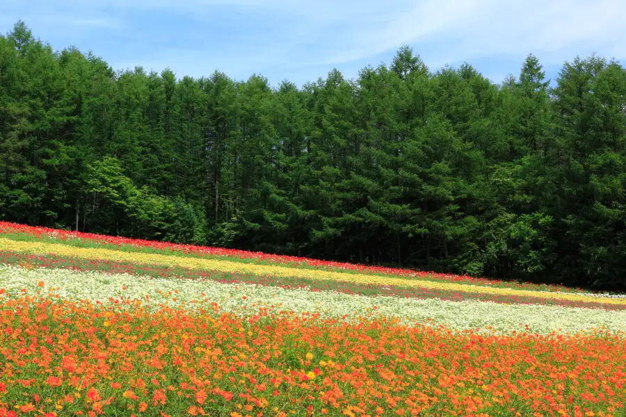 富田農場