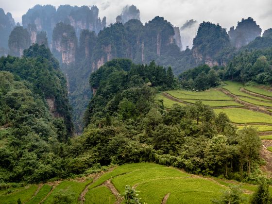 Tianzi Mountain Clouds