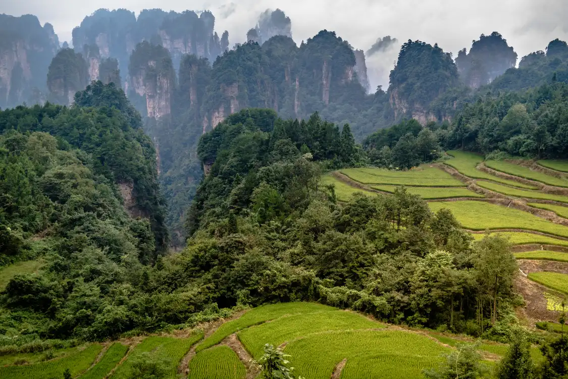 Tianzi Mountain Clouds 주변 호텔