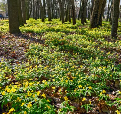 Отели рядом с достопримечательностью «Chūwa Bambi Park»