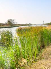 Longxue Island