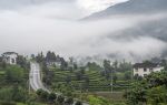 Tianfu Sightseeing Tea Garden