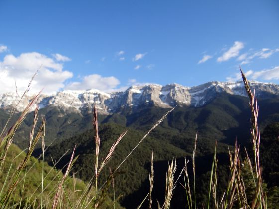 Sulphur Mountain