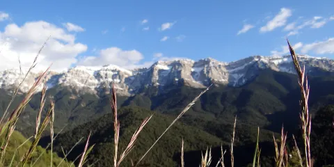 Parc Naturel de Cadi-Moixero
